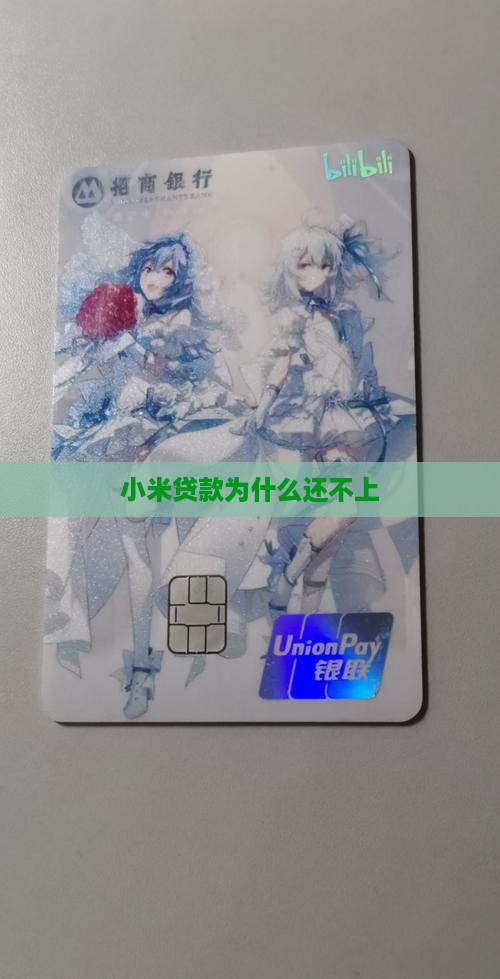 小米贷款为什么还不上