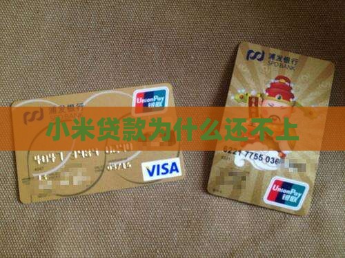 小米贷款为什么还不上