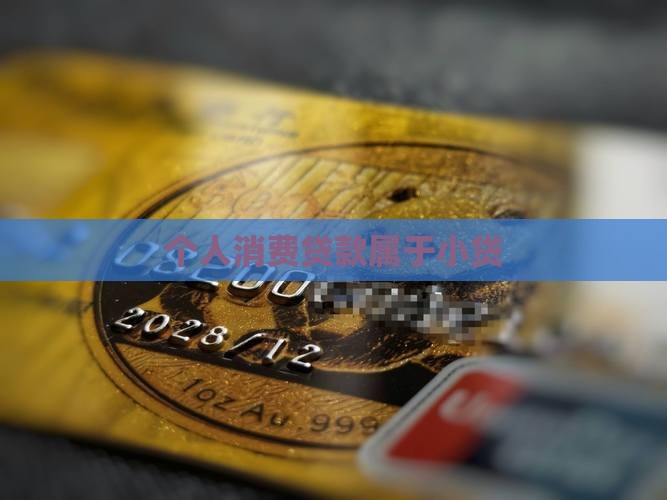 个人消费贷款属于小贷