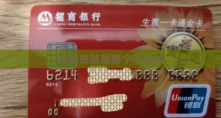 信用贷款是那个平台的