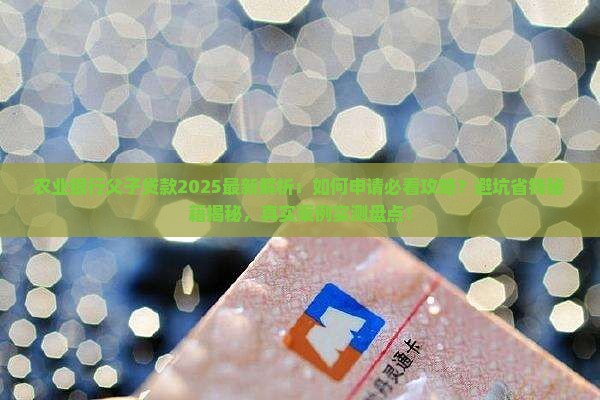 农业银行父子贷款
