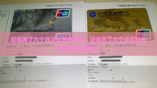 征信养了六个月可以去贷款吗