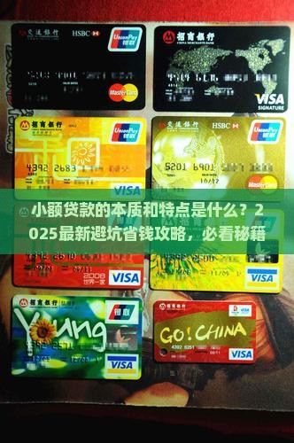 小额贷款的本质和特点是