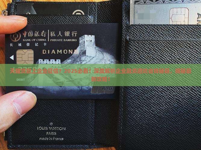 天猫贷款上企业征信