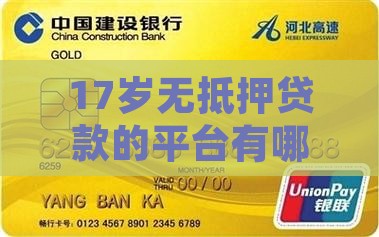 17岁无抵押贷款的平台