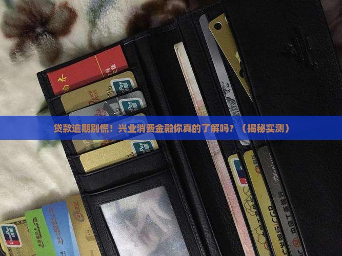 兴业消费金融贷款逾期