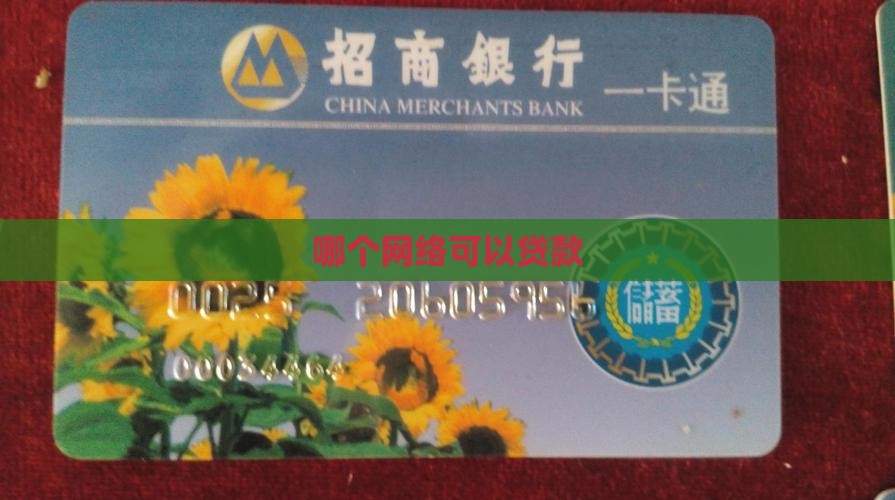 哪个网络可以贷款