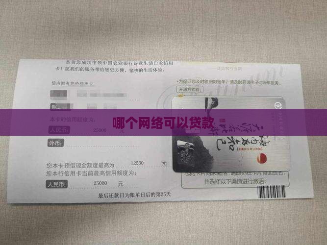 哪个网络可以贷款