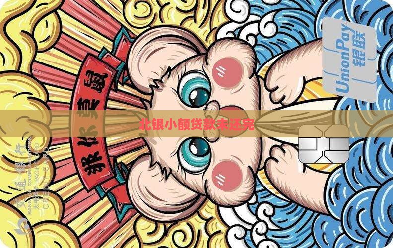 北银小额贷款未还完