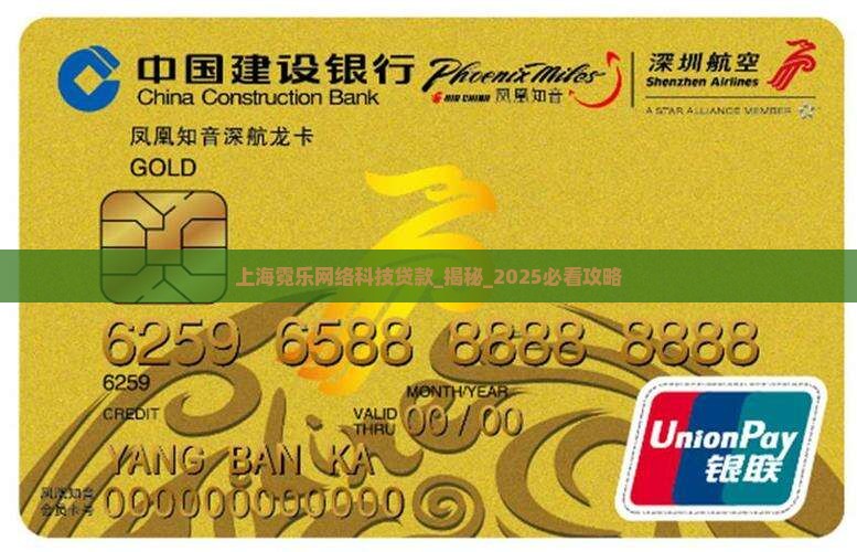 上海霓乐网络科技贷款