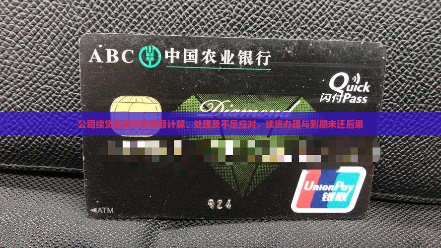 公司续贷信用贷款余额