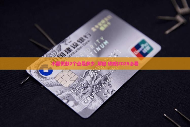 小额贷款2个点是多少