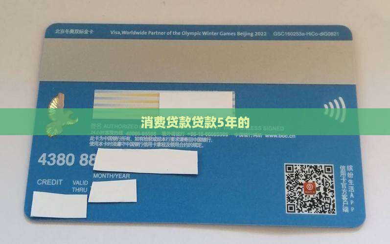 消费贷款贷款5年的