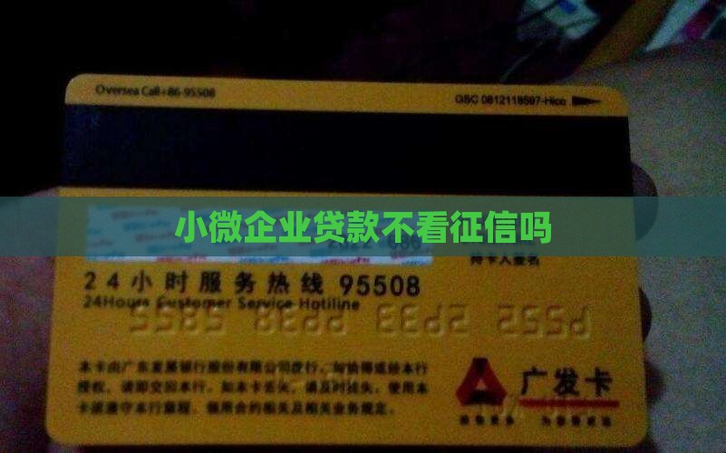 小微企业贷款不看征信吗