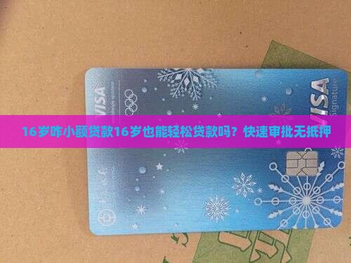 16岁咋小额贷款