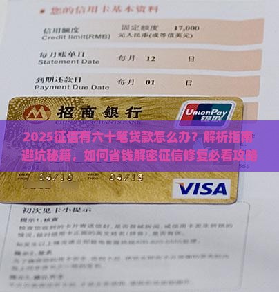 征信有六十笔贷款怎么办