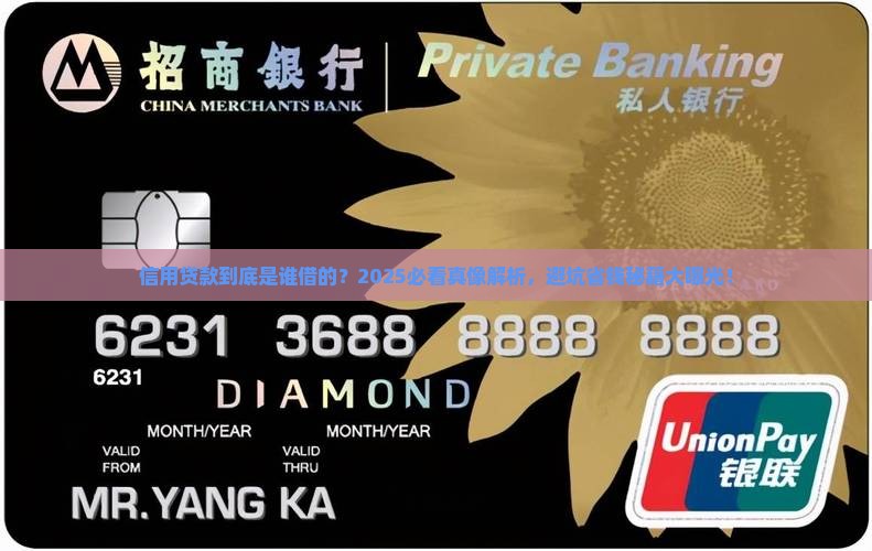 信用贷款是谁借的