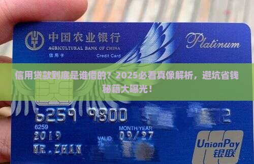 信用贷款是谁借的