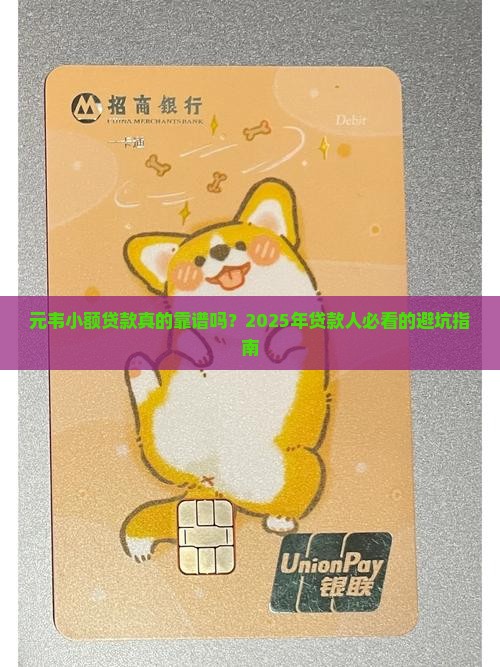 元韦小额贷款