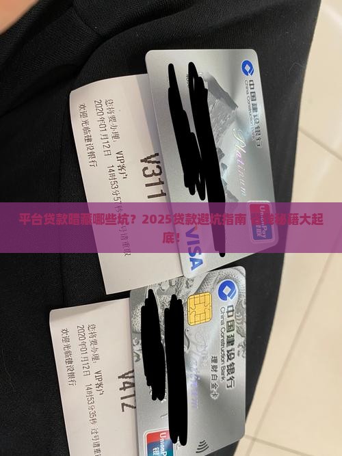 平台贷款都有什么费用呢