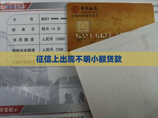 征信上出现不明小额贷款