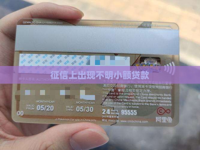 征信上出现不明小额贷款