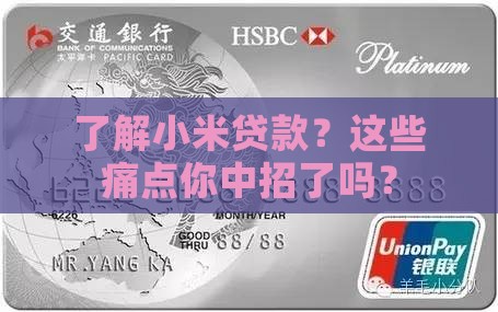 了解小米贷款
