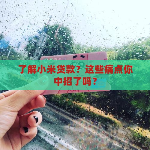 了解小米贷款