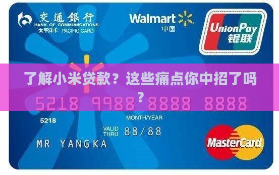 了解小米贷款