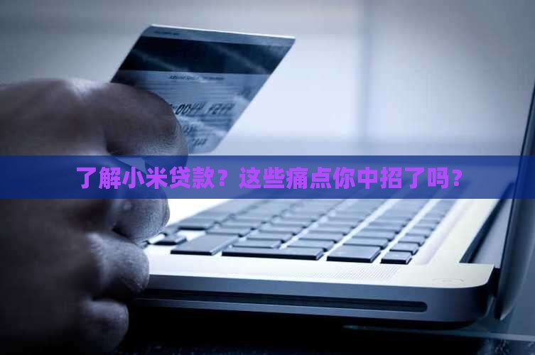 了解小米贷款