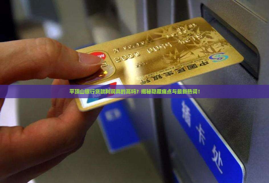 平顶山银行贷款利润
