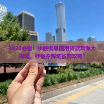 小额低息信用贷款合法吗