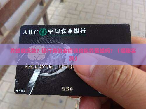 养蜂可以到银行贷款吗
