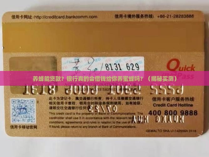 养蜂可以到银行贷款吗