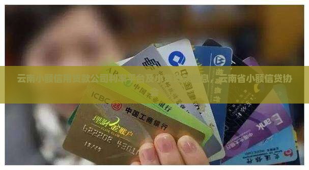 云南小额信用贷款