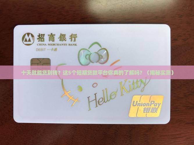 十天短期贷款平台