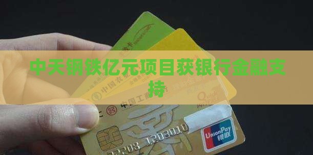 中天钢铁银行贷款