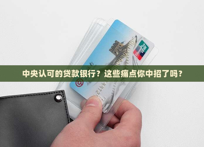 中央认可的贷款银行