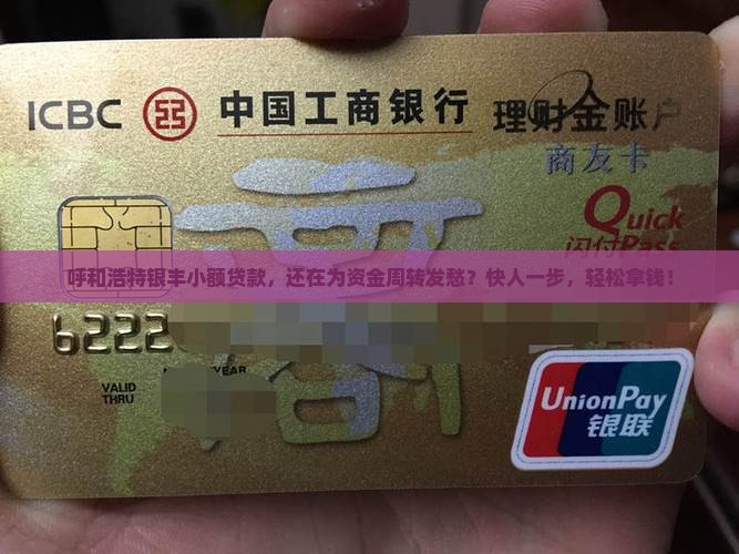 呼和浩特银丰小额贷款
