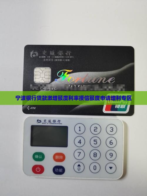宁波银行贷款激增
