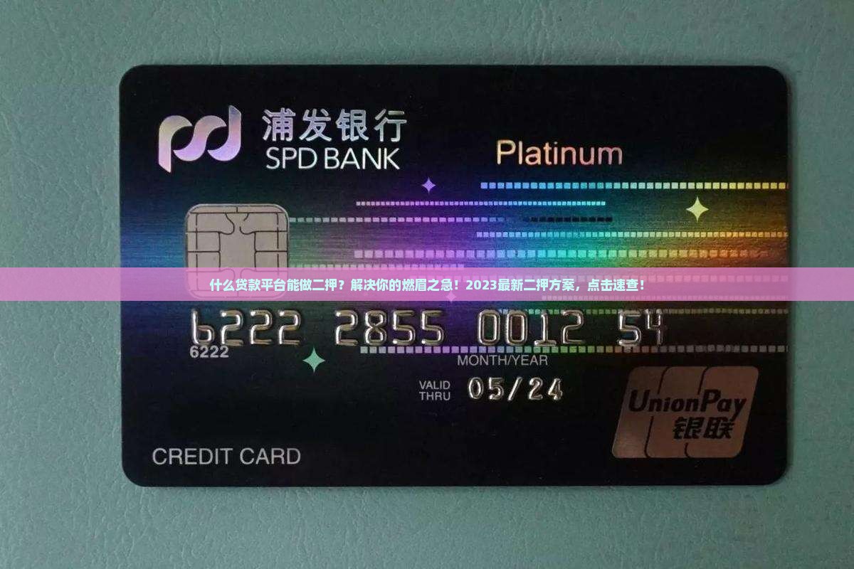 什么贷款平台能做二押