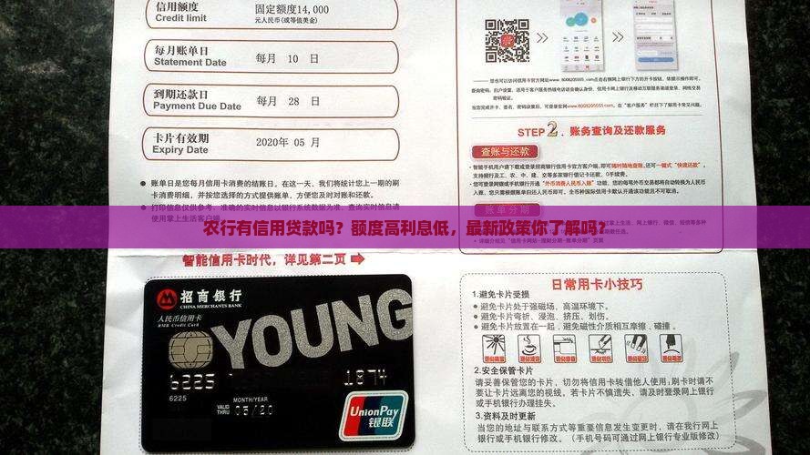农行有信用贷款