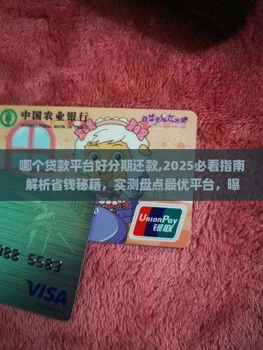 哪个贷款平台好分期还款