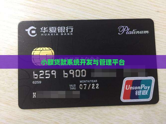 小额贷款信息系统研发