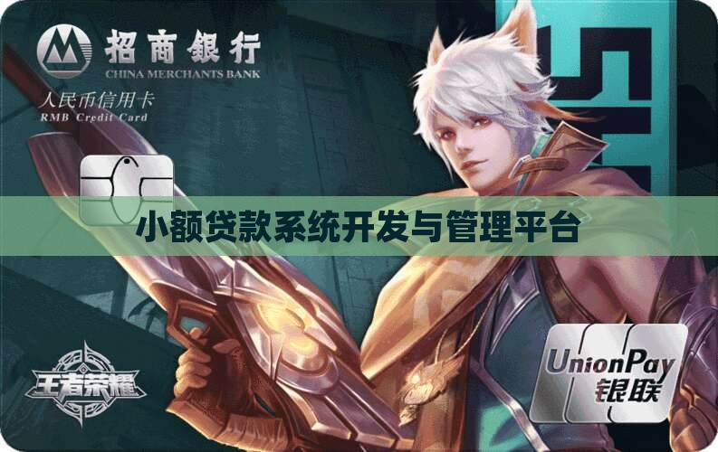 小额贷款信息系统研发
