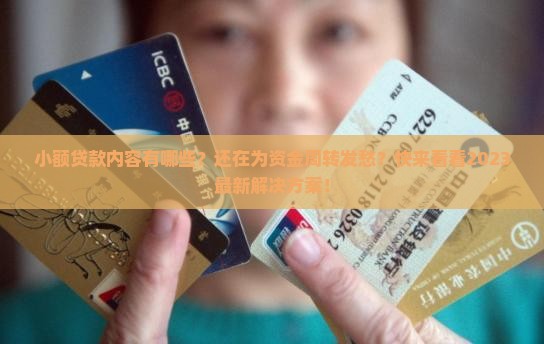 小额贷款内容有哪些