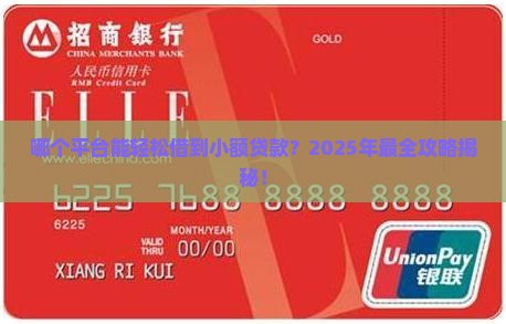 哪个平台可以小额贷款