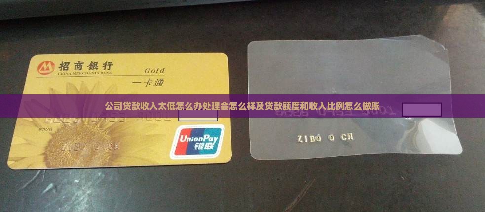 公司贷款收入太低 公司贷款收入太低