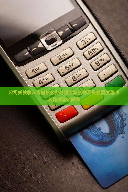 公司贷款收入太低 公司贷款收入太低