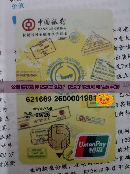 公司股权质押贷款怎么办